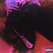 blkswn  explicit_lyrics