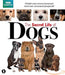 BBC earth - Secret life of dogs