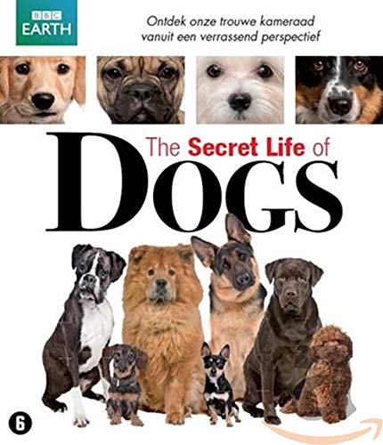 BBC earth - Secret life of dogs