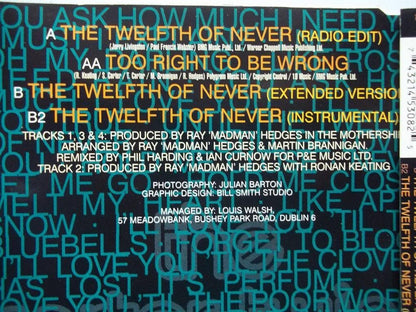 carter twins , the - the twelfth of never ( radio edit ) / too right to be wrong / the twelfth of never ( extended versi