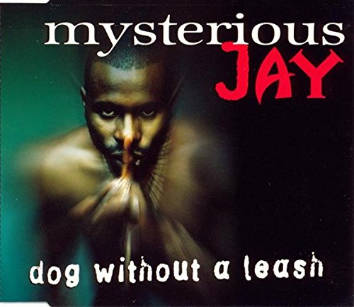 Dog without a leash