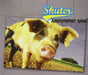 SKUTER-ARRIVEDERCI VANC