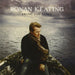 Ronan Keating-Bring You Home