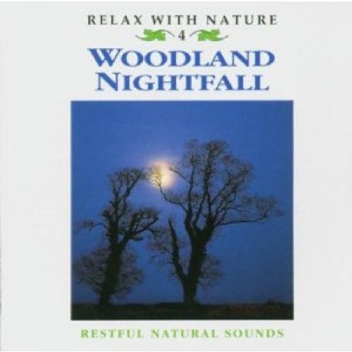 Woodland Nightfall