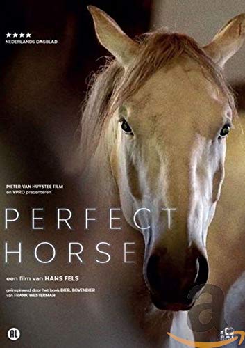 Perfect horse