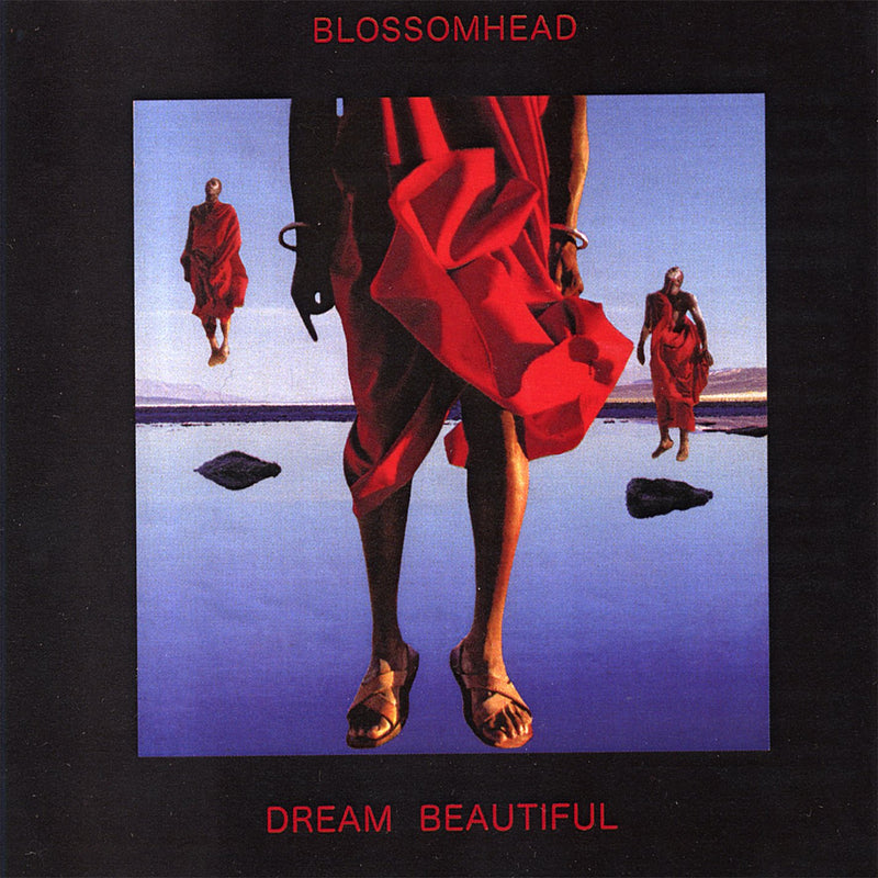 Dream Beautiful