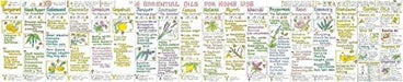 Essential Oils for Home Use