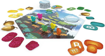 Czech Games-Nein That's a Question, Spiel, Multicolor (CGE00041