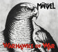 Warhawks of War