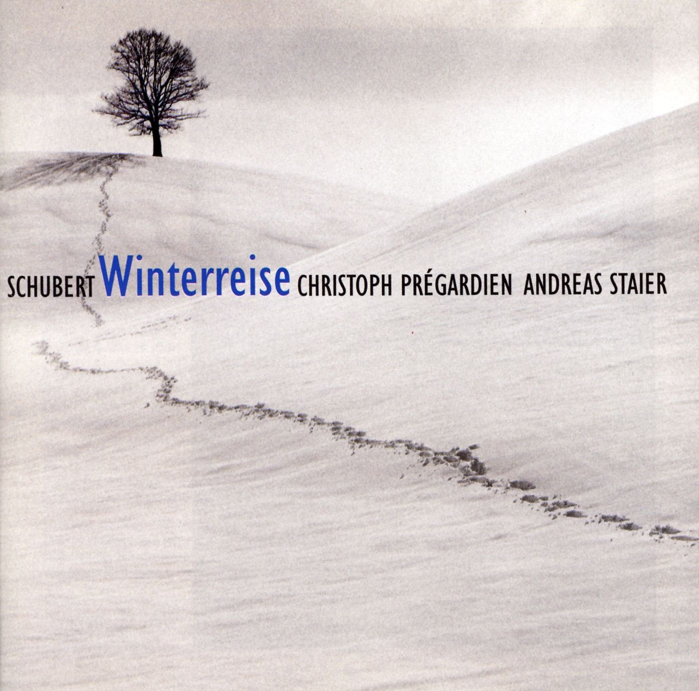 Winterreise/staier