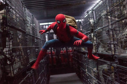 Spider-Man: Homecoming (Bilingual)
