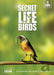 Secret life of birds
