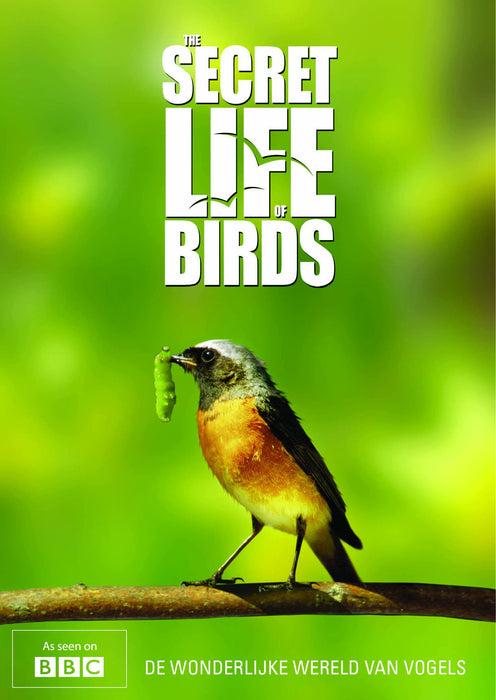 Secret life of birds