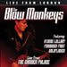 The Blow Monkeys - Live from London