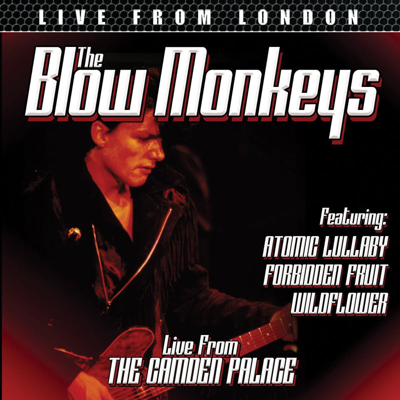 The Blow Monkeys - Live from London