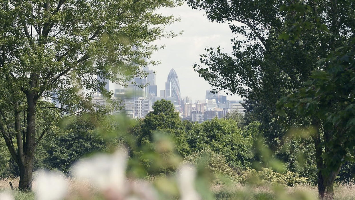 DISPOSSESSION: The Great Social Housing Swindle