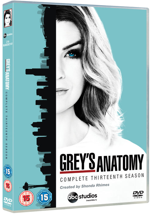 Grey's Anatomy: Complete Thirteenth Season
