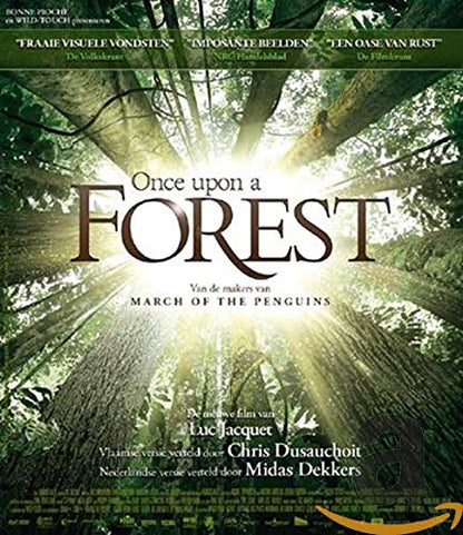 Once upon a forest