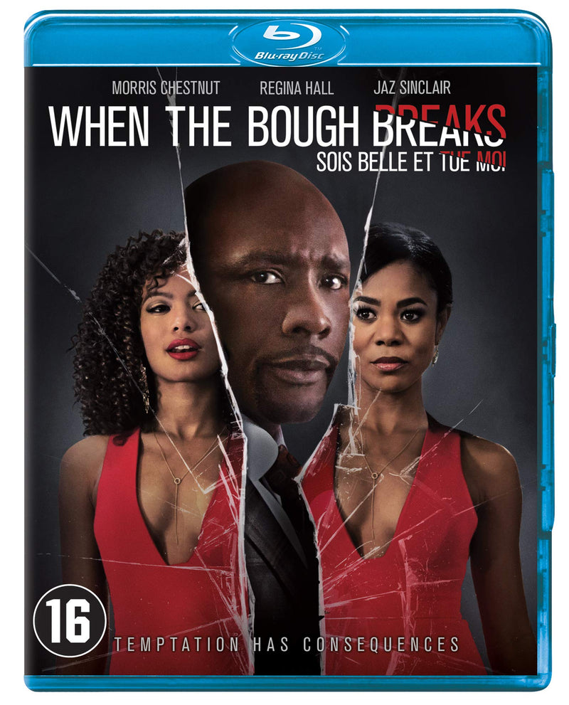 When The Bough Breaks 2017