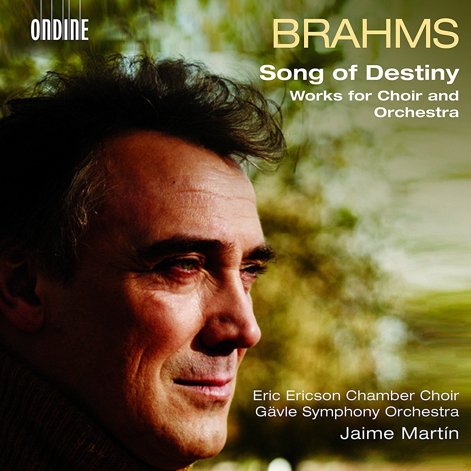 Brahms: Song of Destiny