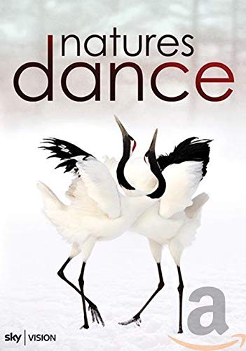DVD - Natures Dance (1 DVD