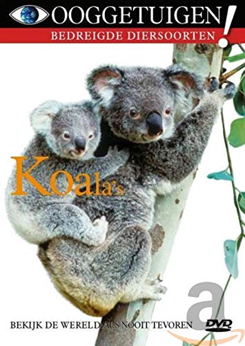 Koala's (Ooggetuigen)