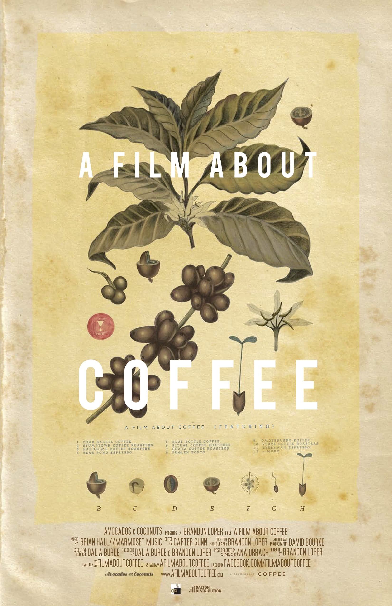 Film About Coffee (a