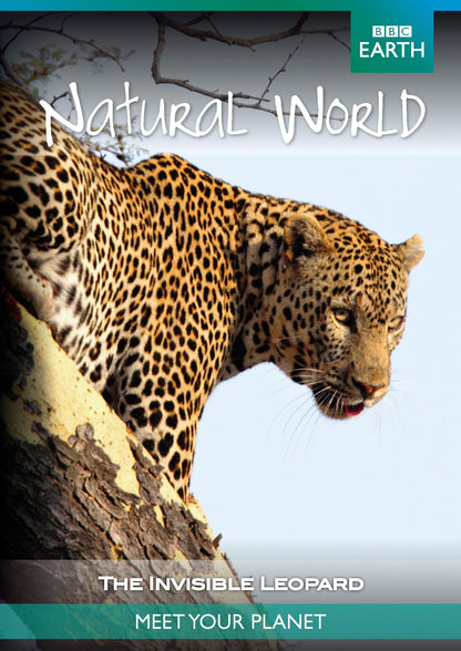 Natural World: The Invisible Leopard