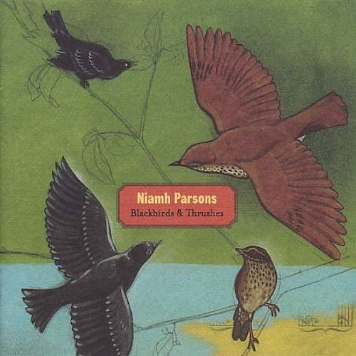 Blackbirds & Thrushes