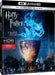 Harry Potter E Il Calice Di Fuoco (4k+Br