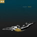 Swim