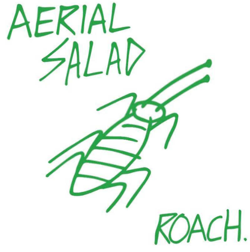 Roach.