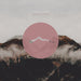 Cardinals Pride-The Quiet Erosion