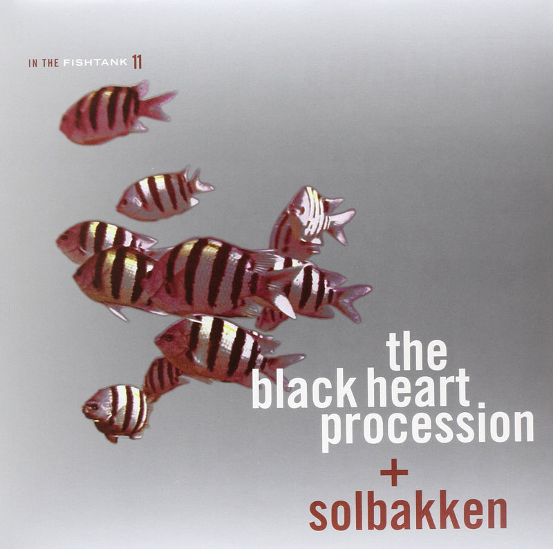 In the Fishtank - Volume 11