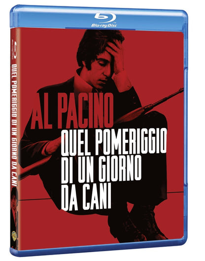 Quel pomeriggio di un giorno da cani