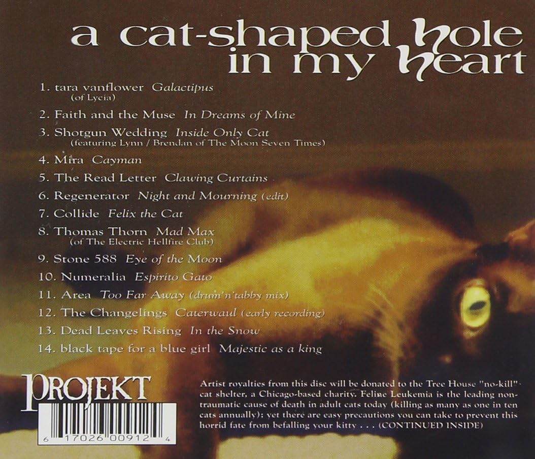 A Cat-Shaped Hole In My H