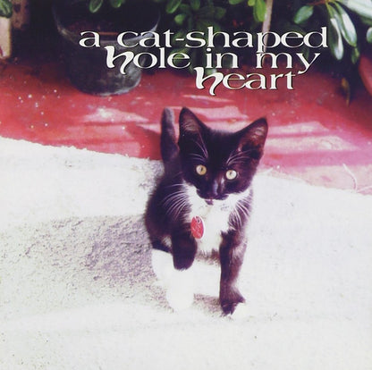 A Cat-Shaped Hole In My H