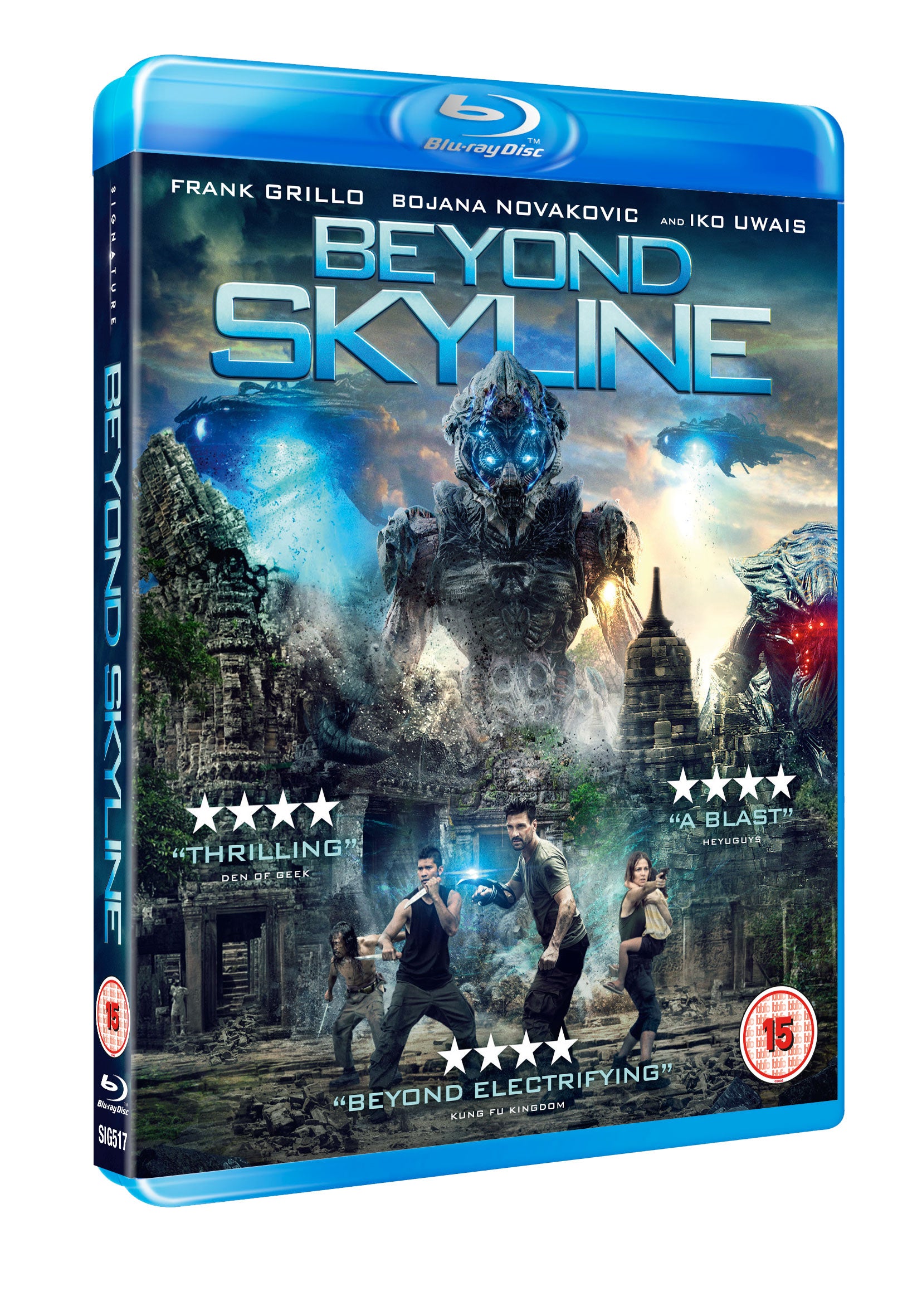 Beyond Skyline