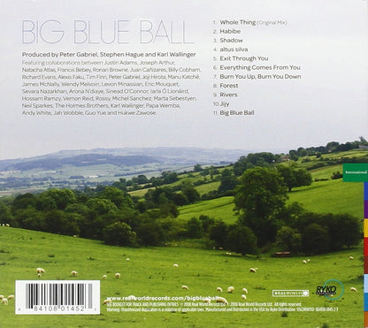 Big Blue Ball(Cover 1)