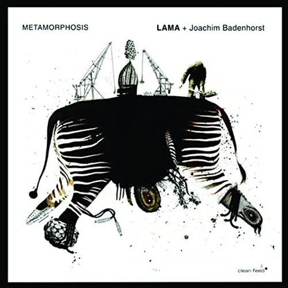 Metamorphosis
