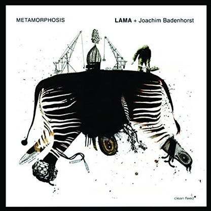 Metamorphosis