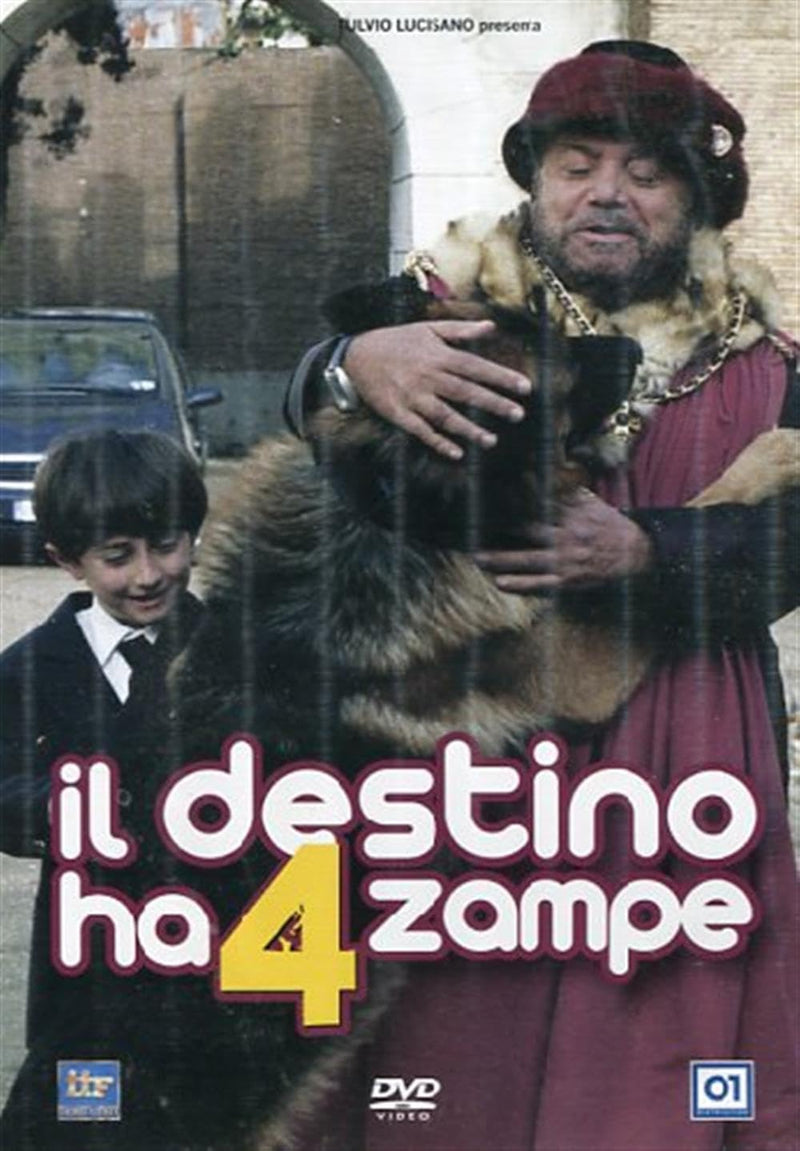 Destino Ha 4 Zampe (Il) - (Italian Import)