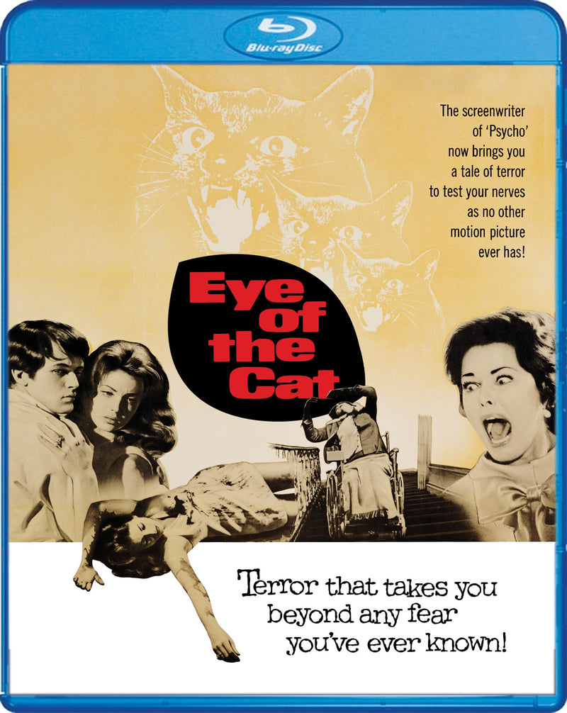 Eye of the Cat