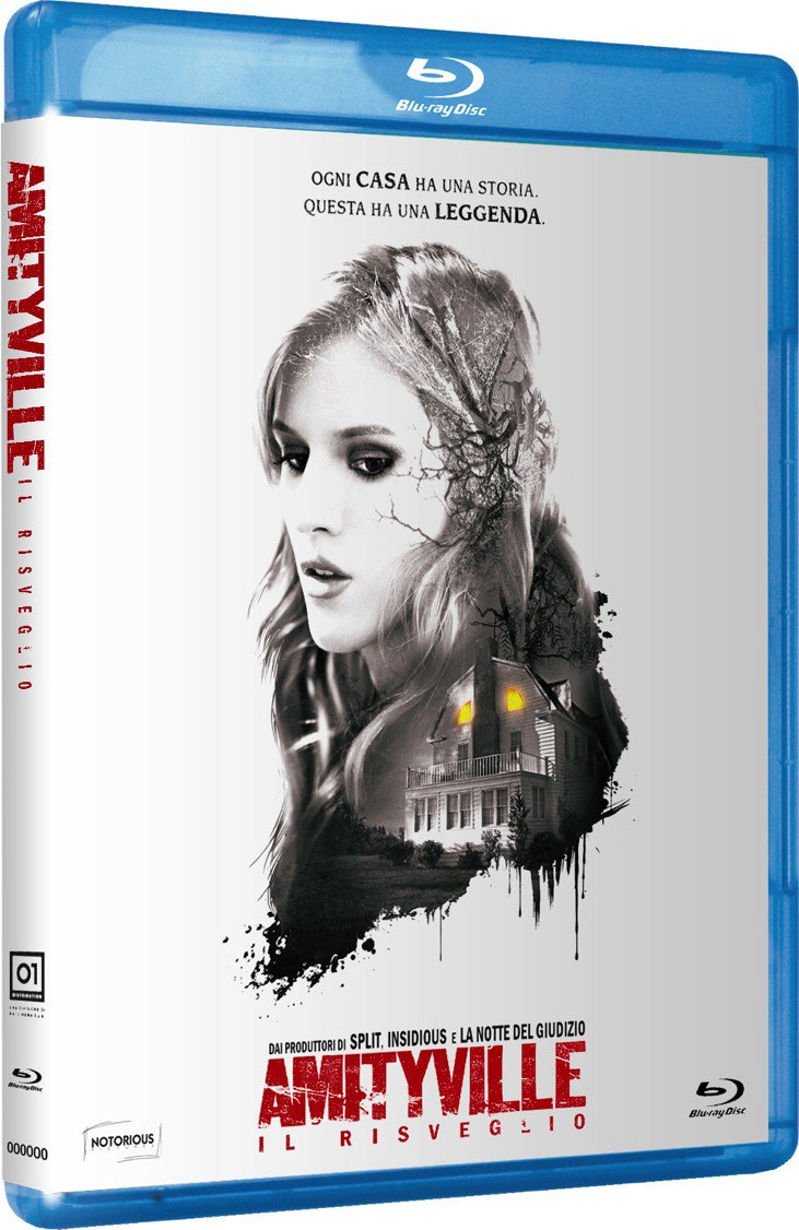 amityville - il risveglio - blu ray BluRay Italian Import