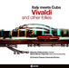 Maurizio D'alessandro & M. Caporale & Orchestra C - Vivaldi And Other Follies