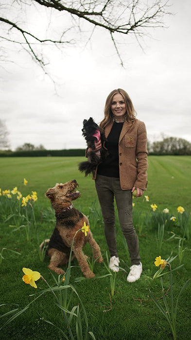 Britain's Top 100 Dogs