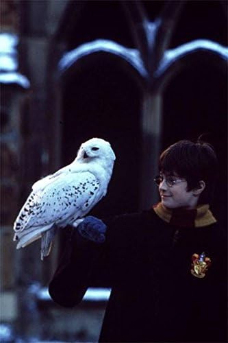 Harry Potter year 1 - The philosopher's stone