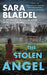 The Stolen Angel
