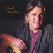David Llewellyn