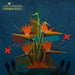 Lost in Paradise - Common King